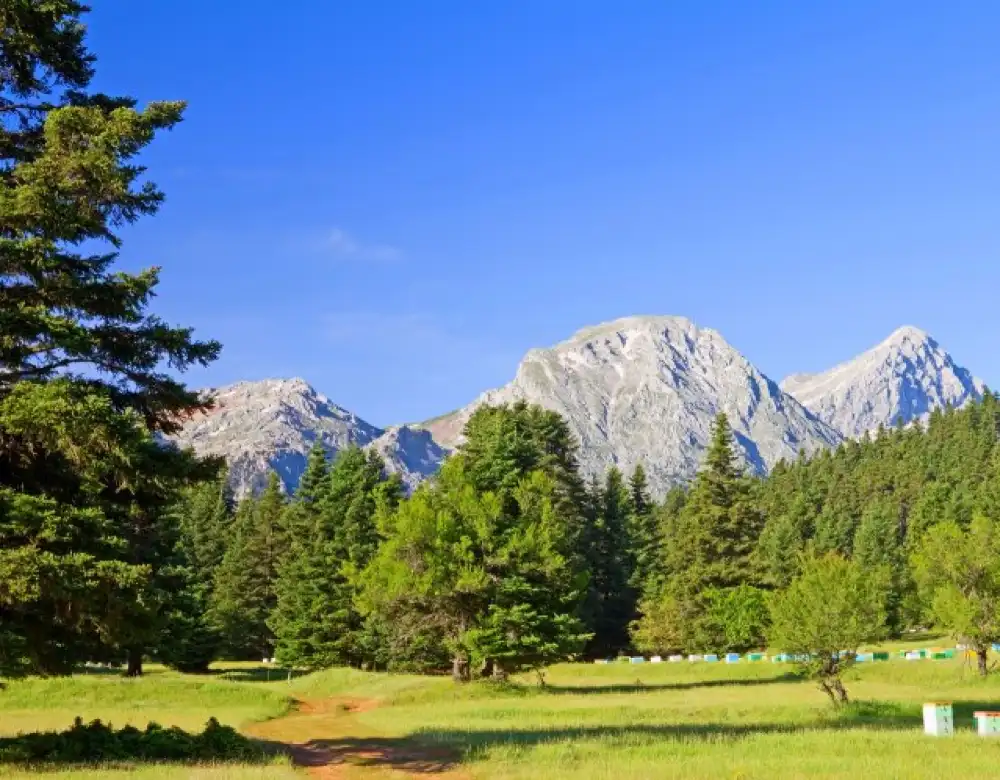 Mount Giona in central Greece with a height of 2457 meters
